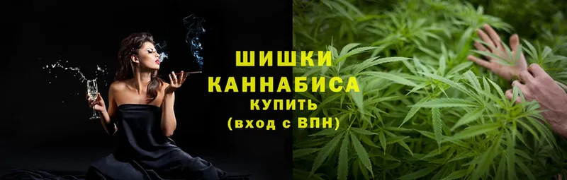 купить  цена  Кириши  маркетплейс наркотические препараты  Канабис VHQ 